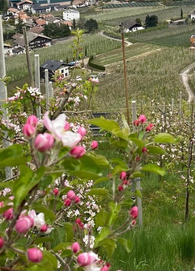 Apartament Weingut Bachguetl Tscherms Zewnętrze zdjęcie